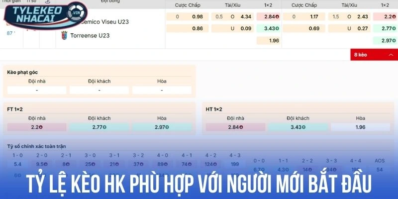 Tỷ Lệ Kèo Hồng Kông - Cách Đọc và Chơi Odds HK Hiệu Quả 3 Tỷ lệ kèo HK phù hợp với người mới bắt đầu