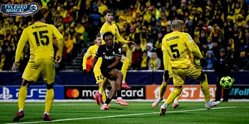 Soi Kèo Nhà Cái Bodo Glimt Vs Inter Milan Hôm Nay Ngày 19/02/2026 - C1 1 Thông tin phong độ Bodø / Glimt vs Inter Milan trước trận