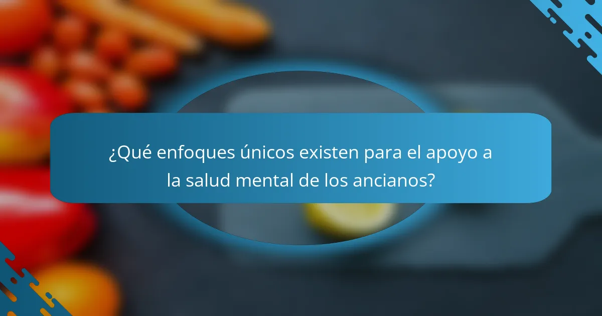 ¿Qué enfoques únicos existen para el apoyo a la salud mental de los ancianos?