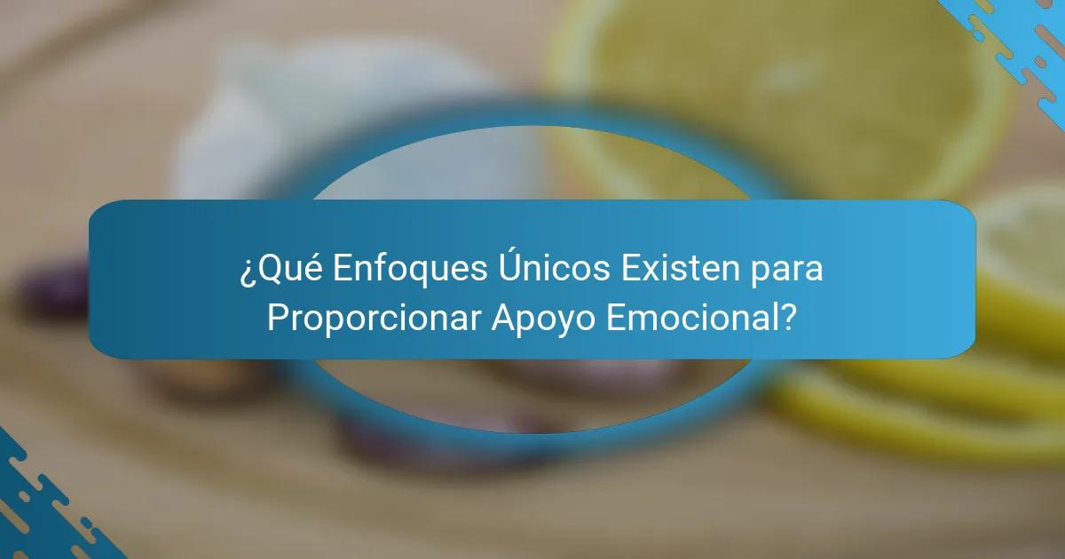 ¿Qué Enfoques Únicos Existen para Proporcionar Apoyo Emocional?
