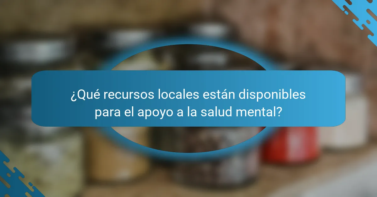 ¿Qué recursos locales están disponibles para el apoyo a la salud mental?